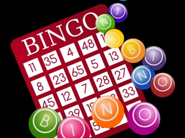 Online Quantity of Bingo Games | Online Casino Selection